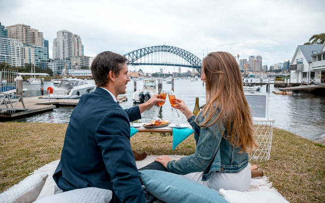 Luxury Picnic Sydney Harbour Bridge