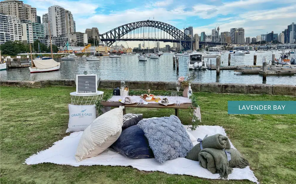 Lavender Bay Picnic