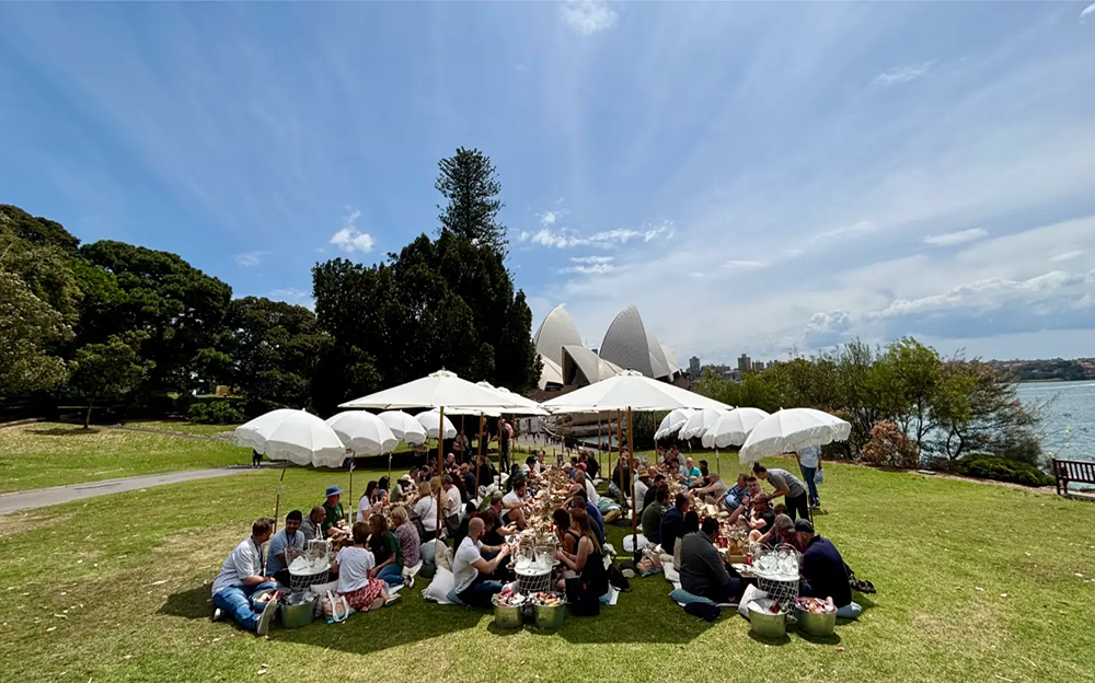 Group Picnic Party